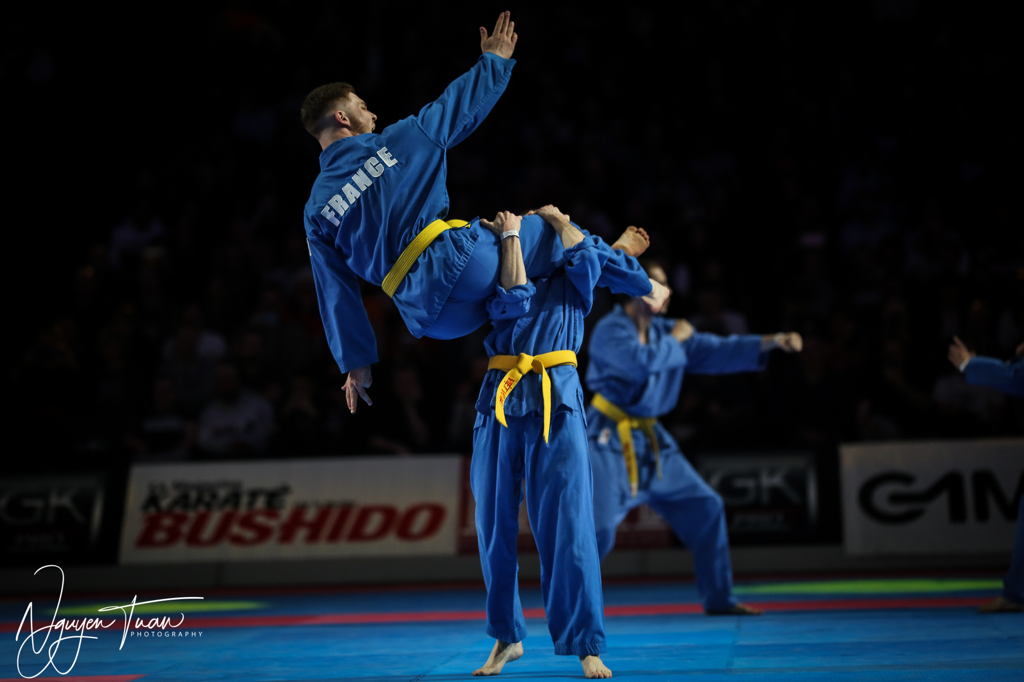 20190324 Festival des Arts Martiaux 2686